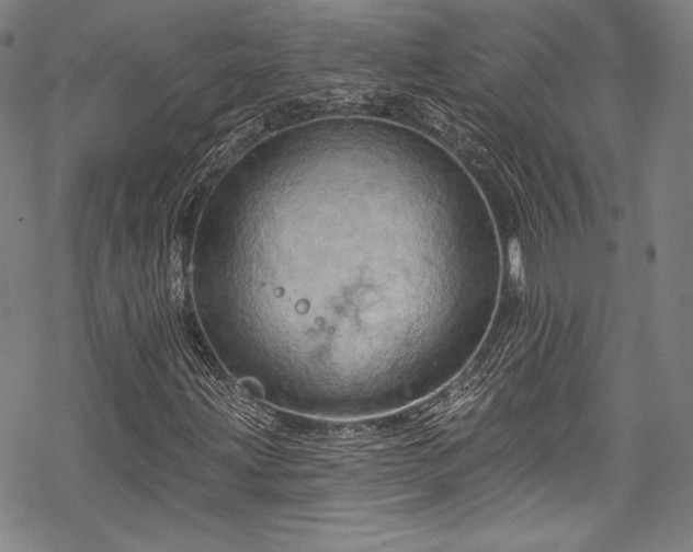 X0000068741203200605051442