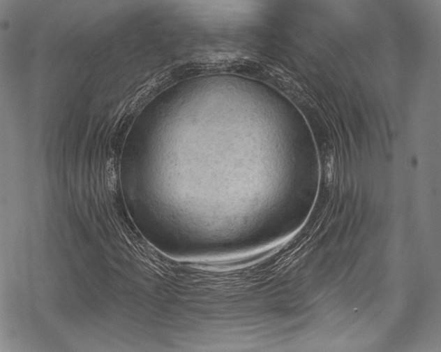 X0000068741204200605051442