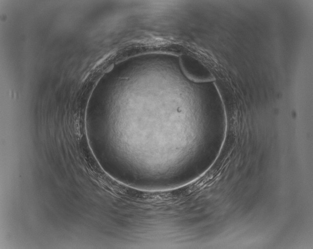 X0000068741205200605051442