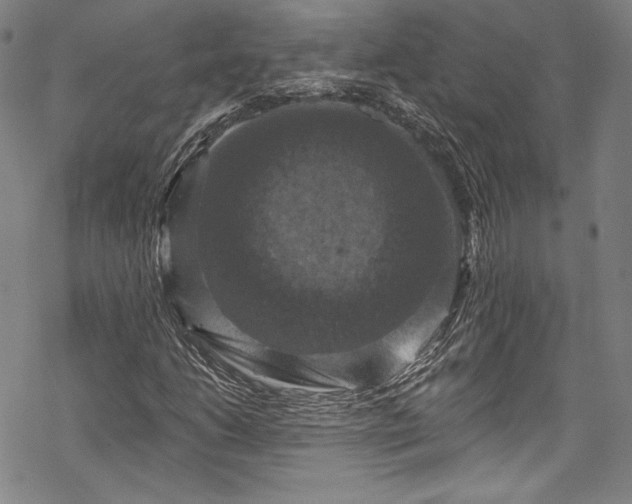 X0000068741206200605051442