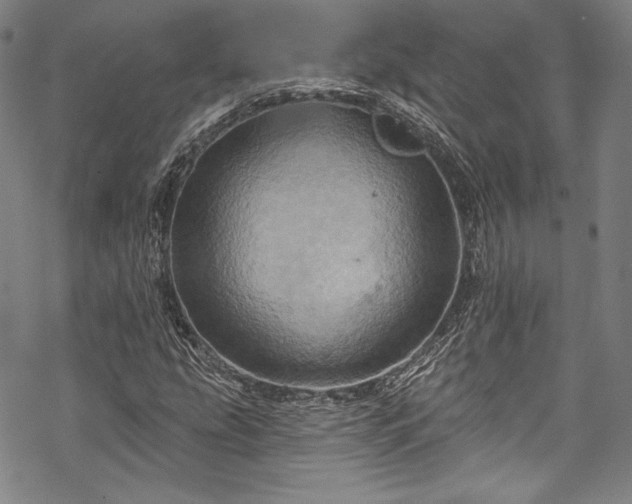 X0000068741207200605051442