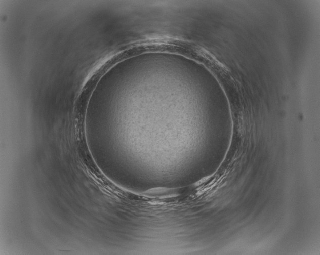 X0000068741208200605051442