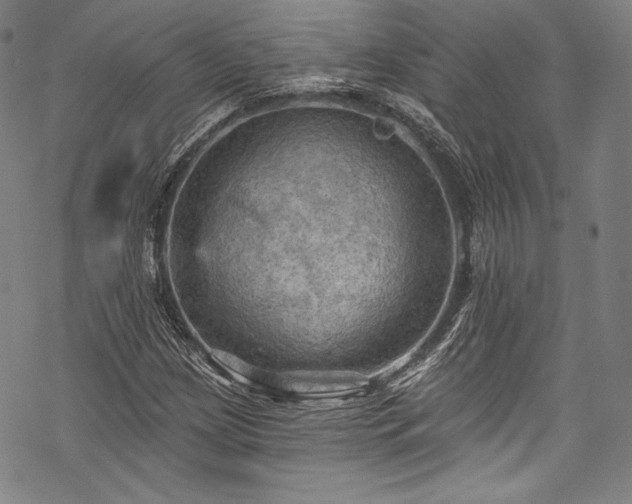 X0000068741209200605051442