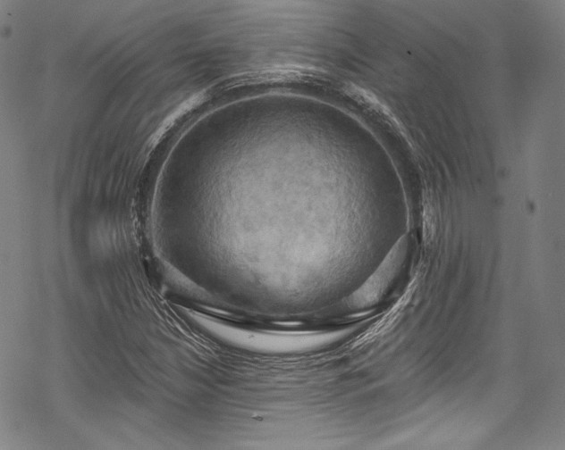 X0000068741210200605051442