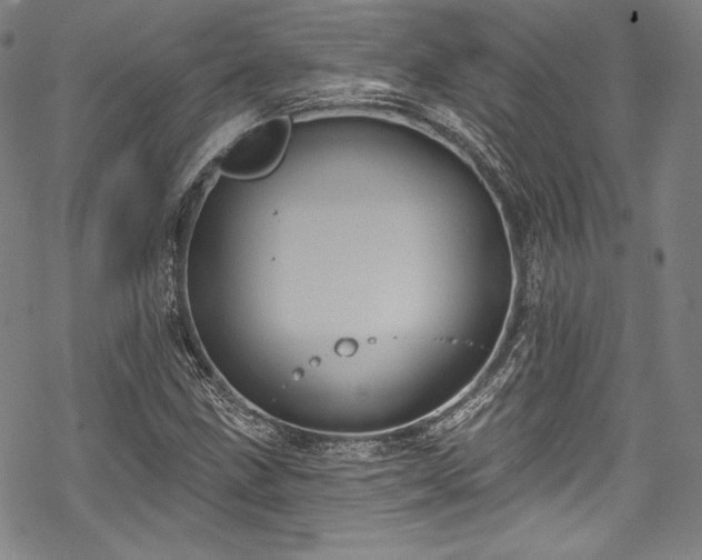 X0000068741211200605051442