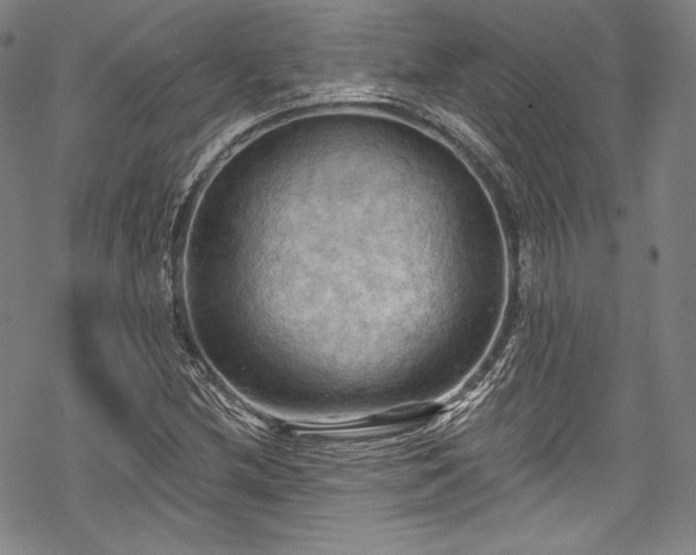 X0000068741212200605051442