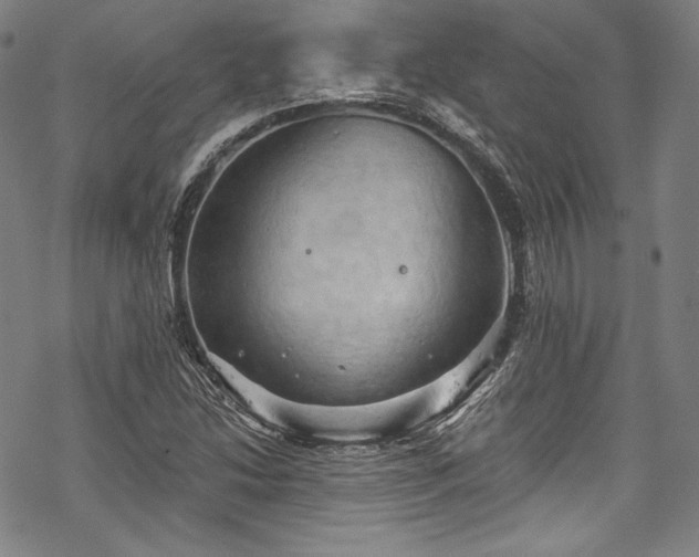 X0000068741214200605051442