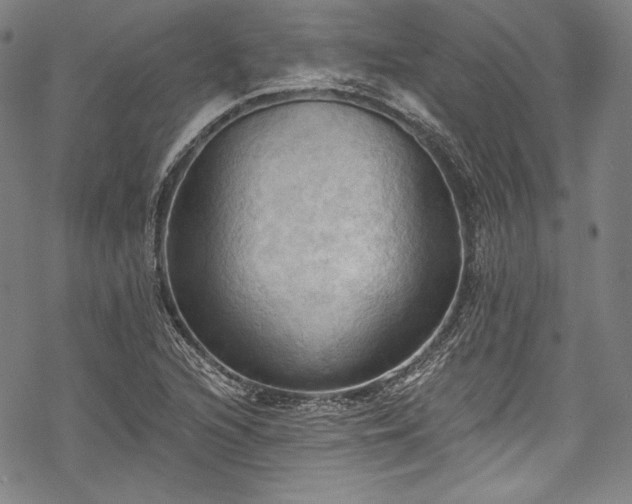 X0000068741216200605051442