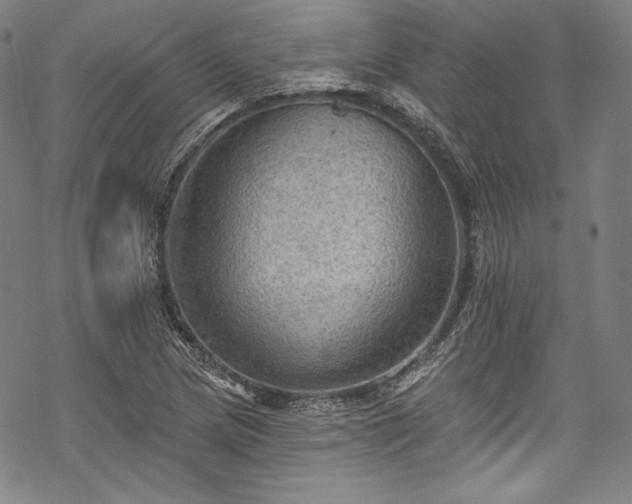 X0000068741217200605051442