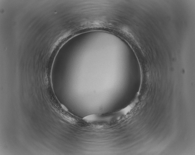 X0000068741218200605051442