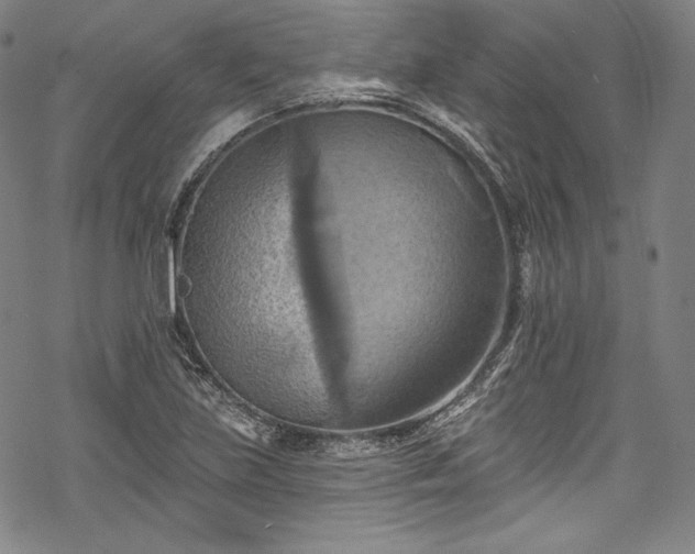 X0000068741219200605051442