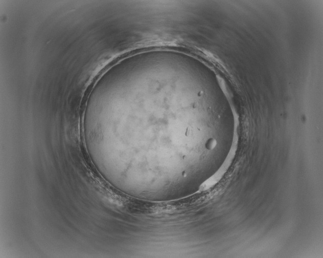 X0000068741220200605051442