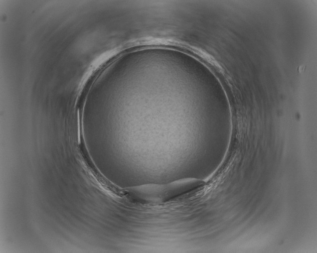 X0000068741223200605051442