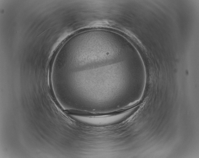 X0000068741224200605051442