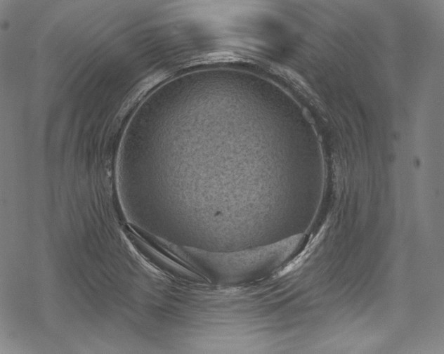 X0000068741225200605051442