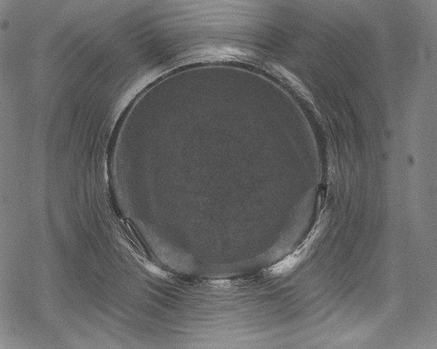 X0000068741226200605051442