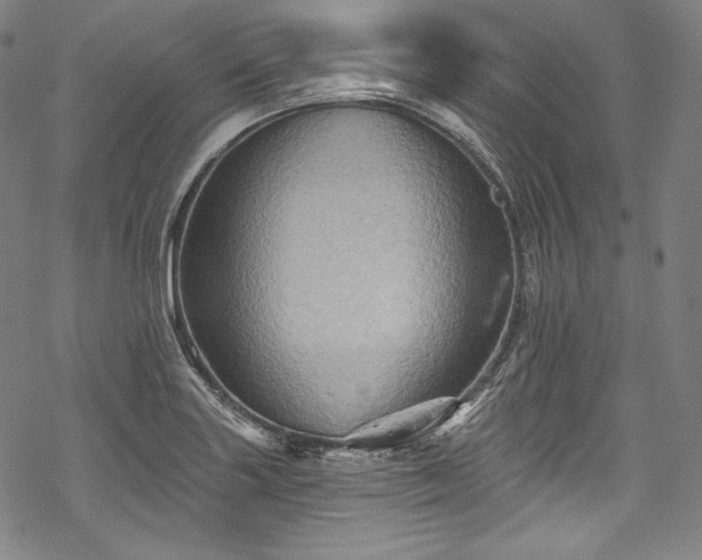 X0000068741227200605051442