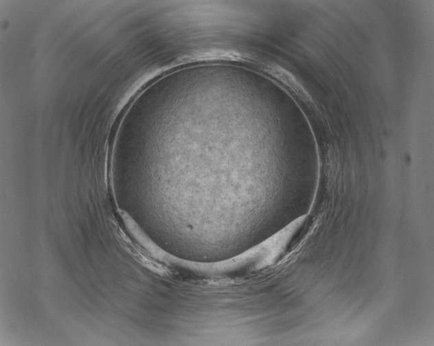 X0000068741228200605051442