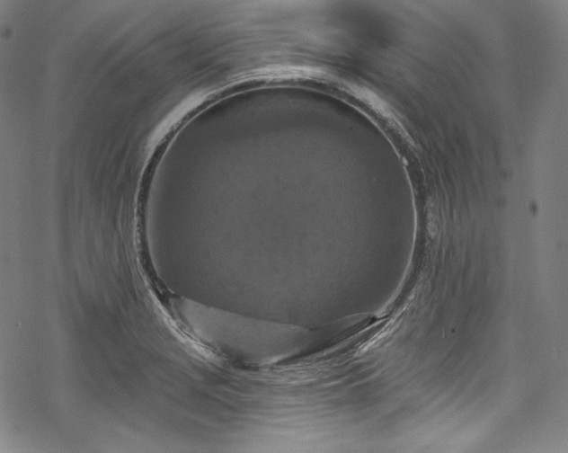 X0000068741229200605051443