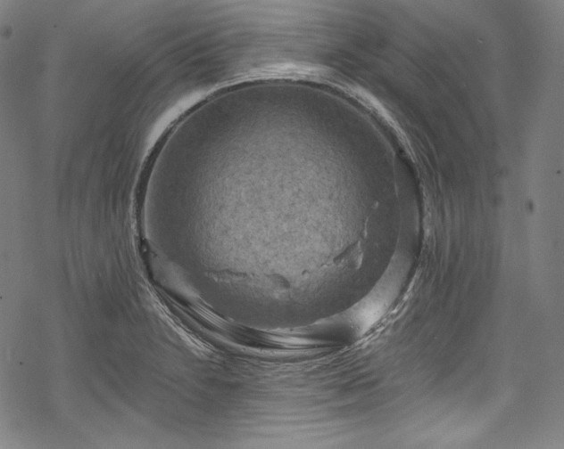 X0000068741230200605051443