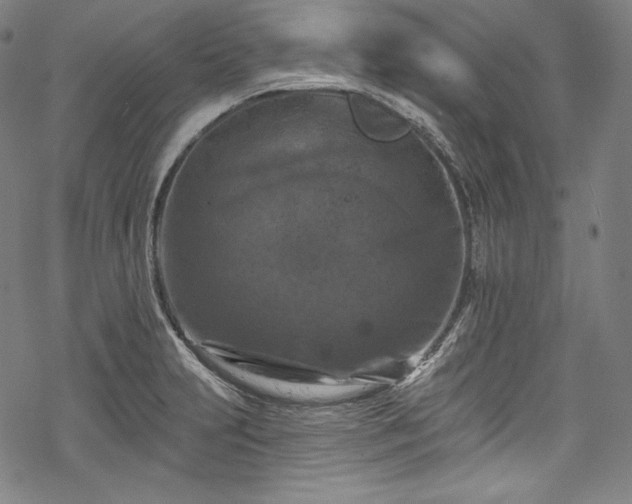 X0000068741231200605051443