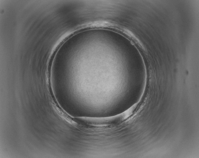 X0000068741232200605051443