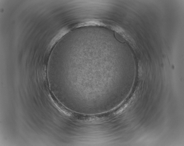 X0000068741233200605051443