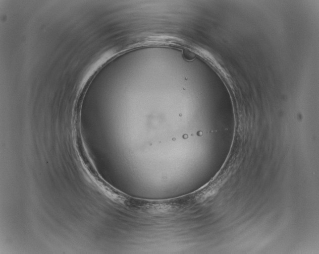 X0000068741235200605051443