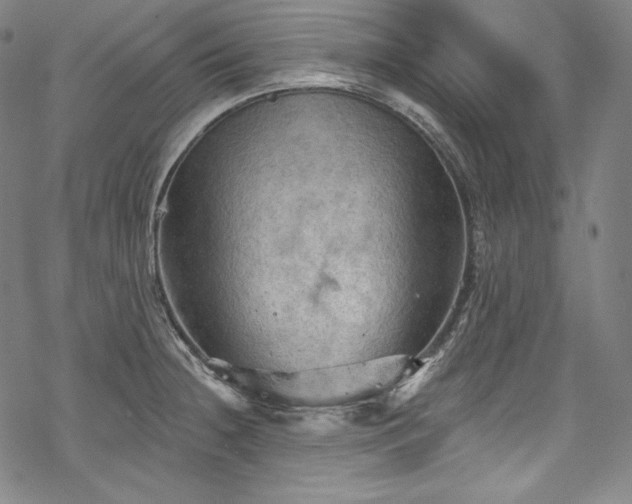 X0000068741236200605051443