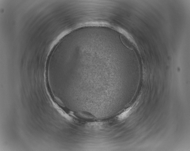 X0000068741237200605051443