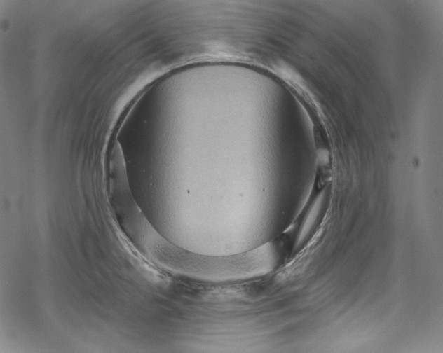 X0000068741238200605051443