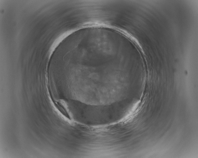 X0000068741239200605051443