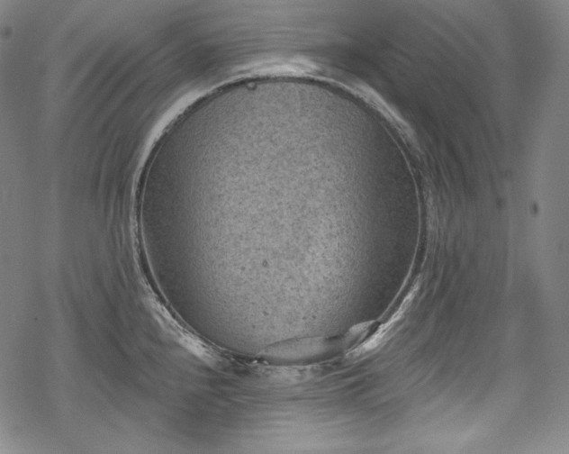 X0000068741240200605051443