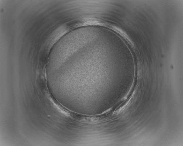 X0000068741241200605051443