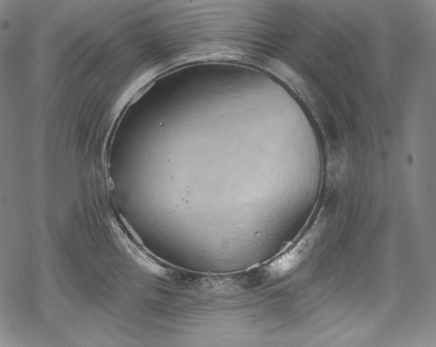 X0000068741242200605051443