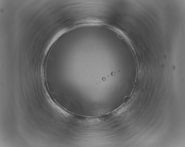 X0000068741243200605051443