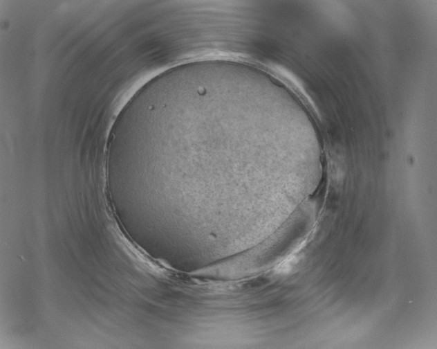 X0000068741244200605051443