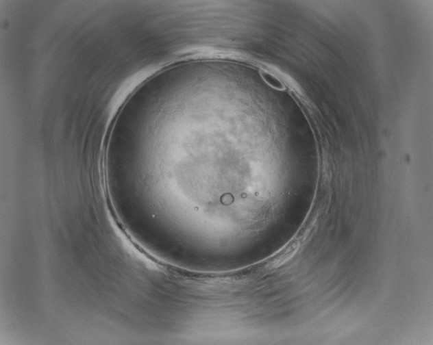 X0000068741247200605051443