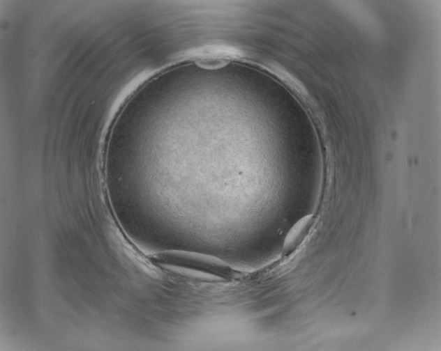 X0000068741248200605051443