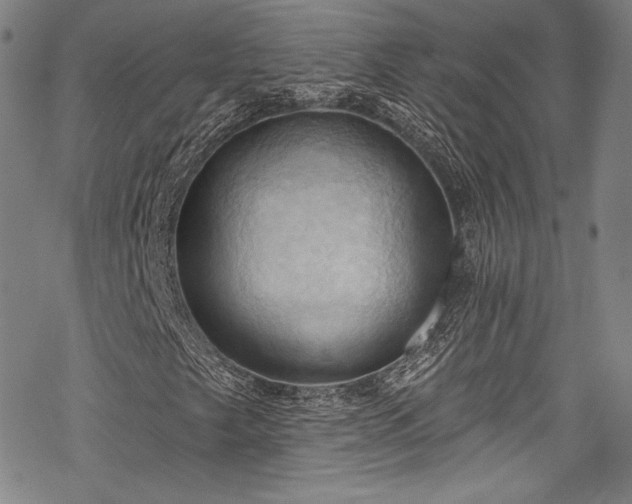 X0000068741249200605051442