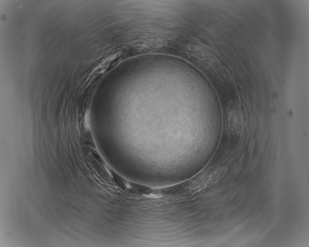 X0000068741250200605051442