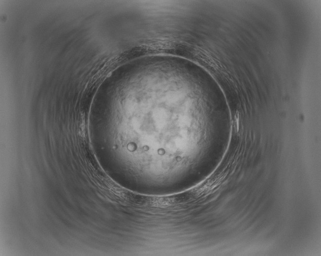 X0000068741251200605051442