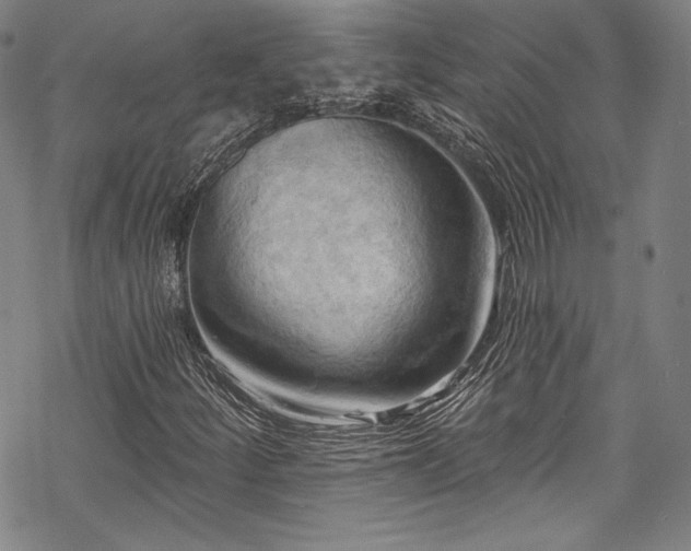 X0000068741252200605051442