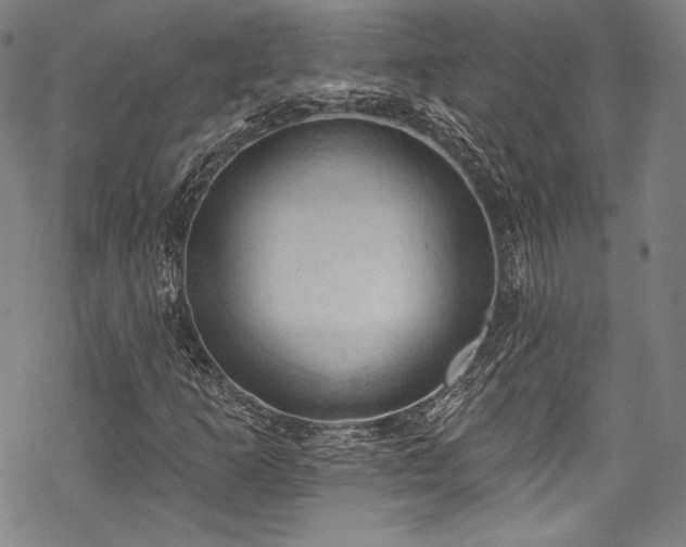 X0000068741253200605051442