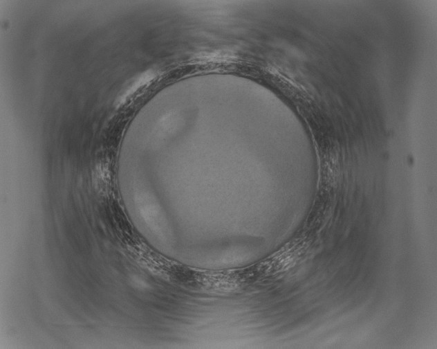 X0000068741254200605051442