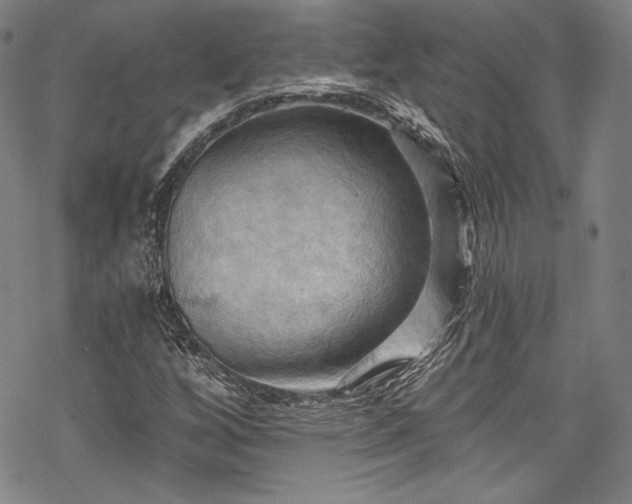 X0000068741256200605051442