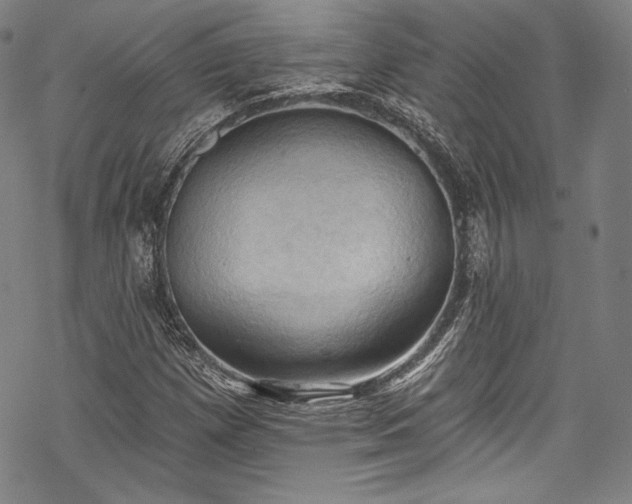 X0000068741257200605051442