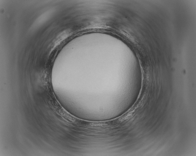 X0000068741258200605051442