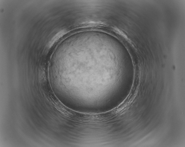 X0000068741259200605051442