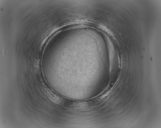 X0000068741260200605051442